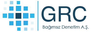 Asil Denetim Logo